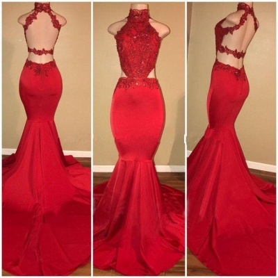 Sleeveless Open Back Mermaid Long Prom Dresses  Plus Size | Lace Formal Dresses for Women_6
