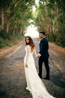 Elegant Lace Long Sleeve Wedding Gowns Latest V-Neck Open Back Bridal Dresses_3