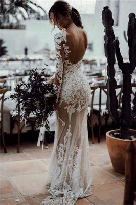 See Through Lace Beach Wedding Dresses Simple | Close-fitting  Long Sleeve Outdoor Bridal Gowns_3