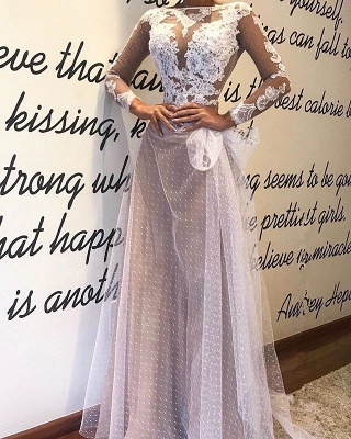 Elegant Long Sleeve Evening Dress |Lace Mermaid Tulle Prom Dress_1