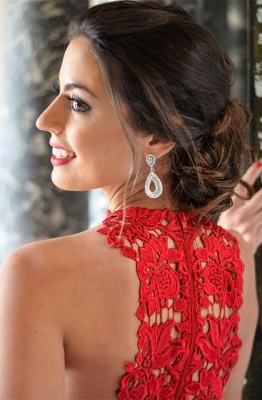 Sexy Red Lace Sleeveless Homecoming DressShort Layers Cocktail Gowns_3