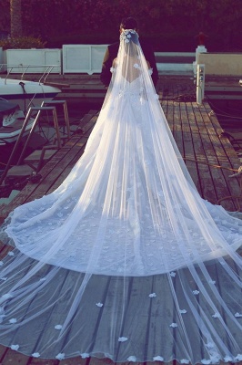 Robes de mariée de luxe princesse robe de bal | Robes de mariée en tulle gonflé à l'épaule avec appliques_4