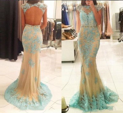 Modest Lace Appliques Backless Mermaid Sweep Train Prom Dress_3