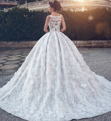 Lace Appliques Sexy Sleeveless Wedding Dresses | Princess Ball Gown V-neck  Bridal Gowns_4