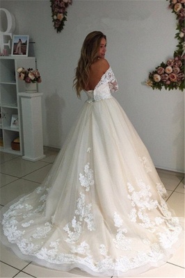 Ivory Backless Long Tulle Appliques New Arrival A-line Lace Sleeves Wedding Dresses_3