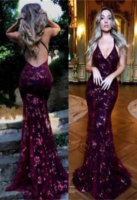 Delicate V-neck Sleeveless Lace Prom Dress | Backless Prom Dress BA9164_1