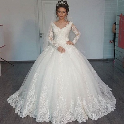 Long Sleeve Tulle V-Neck Elegant Vintage Lace Ball Gown Wedding Dresses  Online_3