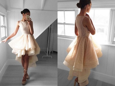 Cute Hi-Lo A-line Lace Sleeveless Jewel Ruffles Prom Dress_3
