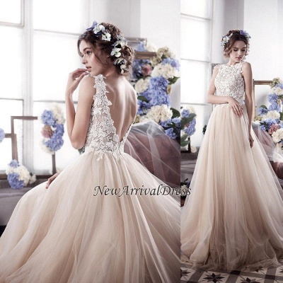 Romantic Fluffy Tulle Sleeveless Vintage Lace Open Back Sexy Wedding Dresses_1