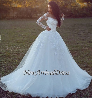 Appliques Glamorous Tulle Long Sleeve Ball Gown Wedding Dresses  Online_1