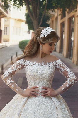 See Through Tulle Appliques Ivory Wedding Dresses | Long Sleeve Bridal Gowns with Cathedral Train_3
