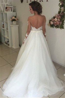 Sheer Long Sleeve Lace Wedding Dresses Open Back Tulle Ball Gown Bridal Dress_3