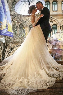 Sexy V-Neck Tulle Long Sleeve Lace Appliques Detachable Overskirt Wedding Dresses_2