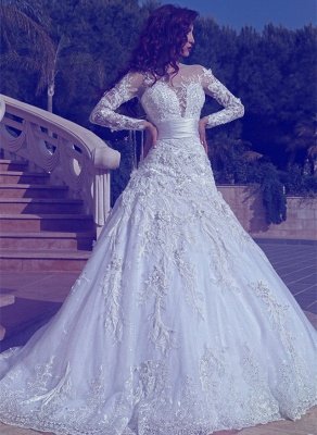 Elegant Long Sleeves Tulle Wedding Dresses 2021 | Sexy Sheer Appliques Wedding Dress Online_1