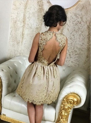 Newest Lace Short V-neck Lace-Appliques Sleeveless Homecoming Dress_3