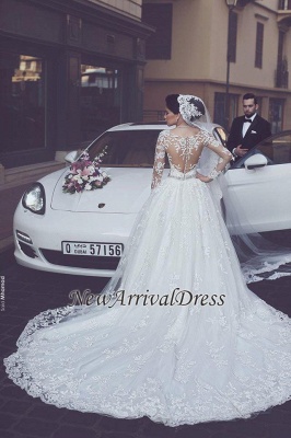 Elegant Long Sleeve Lace Wedding Dresses  Online | See Through Ball Gown Bridal Gowns with Cathedral Train_1