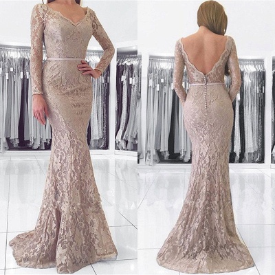 Modern Long Sleeve Mermaid Lace Zipper Long Prom Dress_4