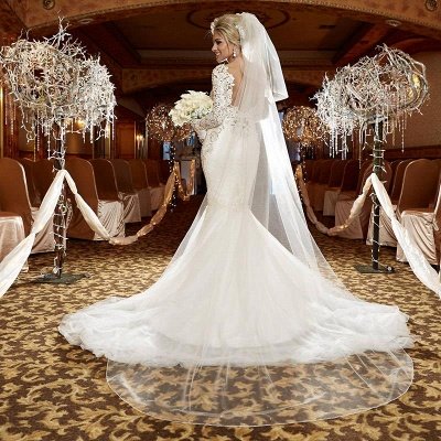 V-neck Sexy Lace Long Sleeve Wedding Dresses | Appliques Open Back Mermaid  Bridal Gowns_3