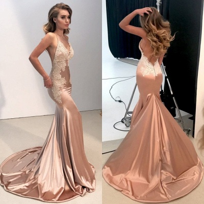V-neck Backless Lace Prom Dress |Mermaid Long Evening Gowns BA8287_3