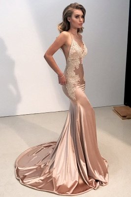 V-neck Backless Lace Prom Dress |Mermaid Long Evening Gowns BA8287_1
